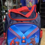 Jupiter lunch bag